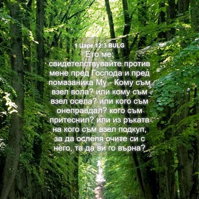 Picture 04 - 1 Царе 12:3 BULG - Ето ме: свидетелствувайте - Bible Verse Picture