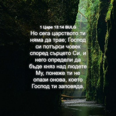 Picture 04 - 1 Царе 13:14 BULG - Но сега царството ти няма - Bible Verse Picture