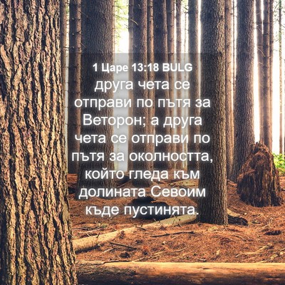 Picture 04 - 1 Царе 13:18 BULG - друга чета се отправи по - Bible Verse Picture