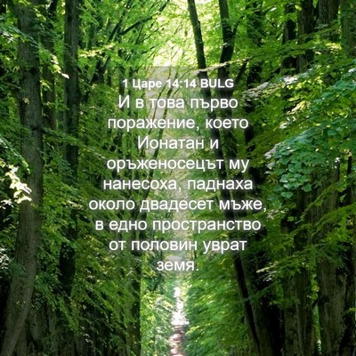 Picture 04 - 1 Царе 14:14 BULG - И в това първо поражение, - Bible Verse Picture