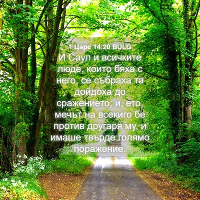 Picture 04 - 1 Царе 14:20 BULG - И Саул и всичките люде, - Bible Verse Picture