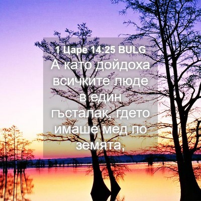 Picture 04 - 1 Царе 14:25 BULG - А като дойдоха всичките - Bible Verse Picture