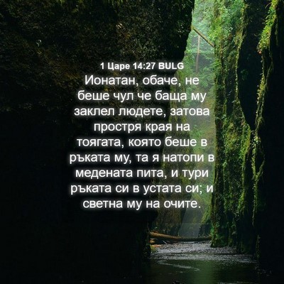 Picture 04 - 1 Царе 14:27 BULG - Ионатан, обаче, не беше чул - Bible Verse Picture