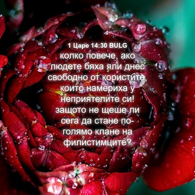 Picture 04 - 1 Царе 14:30 BULG - колко повече, ако людете - Bible Verse Picture