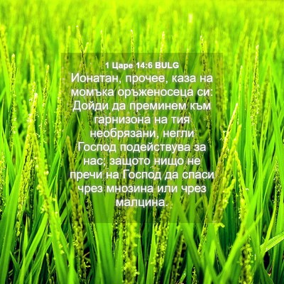 Picture 04 - 1 Царе 14:6 BULG - Ионатан, прочее, каза на - Bible Verse Picture