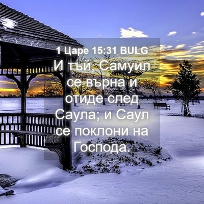 Picture 04 - 1 Царе 15:31 BULG - И тъй, Самуил се върна и - Bible Verse Picture