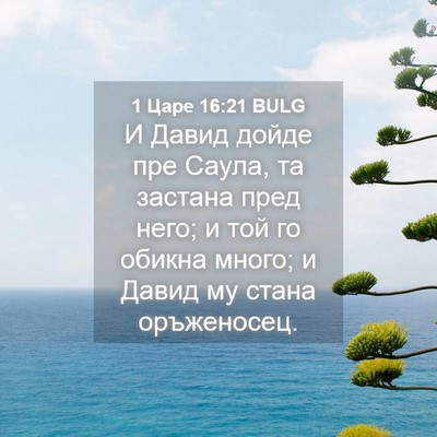 Picture 04 - 1 Царе 16:21 BULG - И Давид дойде пре Саула, та - Bible Verse Picture