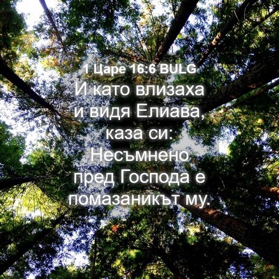 Picture 04 - 1 Царе 16:6 BULG - И като влизаха и видя - Bible Verse Picture