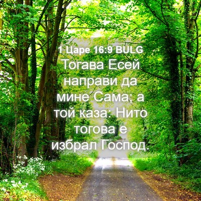 Picture 04 - 1 Царе 16:9 BULG - Тогава Есей направи да - Bible Verse Picture