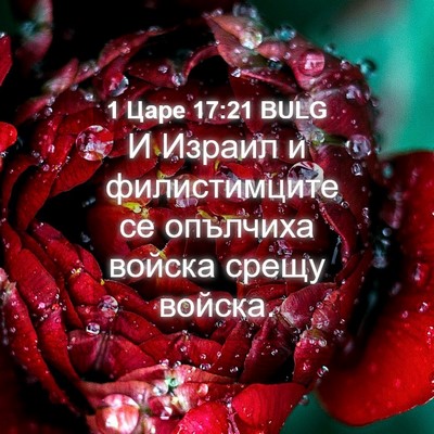 Picture 04 - 1 Царе 17:21 BULG - И Израил и филистимците се - Bible Verse Picture