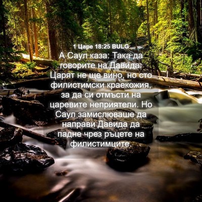 Picture 04 - 1 Царе 18:25 BULG - А Саул каза: Така да - Bible Verse Picture