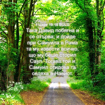 Picture 04 - 1 Царе 19:18 BULG - Така Давид побягна и се - Bible Verse Picture