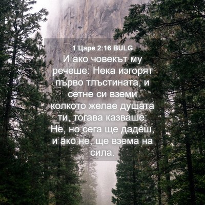 Picture 04 - 1 Царе 2:16 BULG - И ако човекът му речеше: - Bible Verse Picture