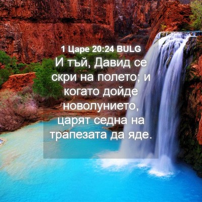 Picture 04 - 1 Царе 20:24 BULG - И тъй, Давид се скри на - Bible Verse Picture