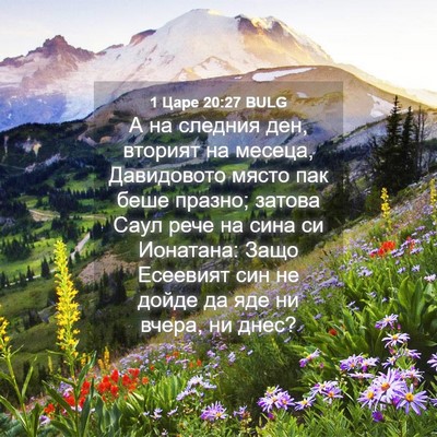Picture 04 - 1 Царе 20:27 BULG - А на следния ден, вторият - Bible Verse Picture