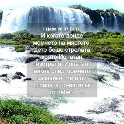 Picture 04 - 1 Царе 20:37 BULG - И когато дойде момчето на - Bible Verse Picture