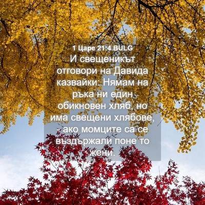 Picture 04 - 1 Царе 21:4 BULG - И свещеникът отговори на - Bible Verse Picture