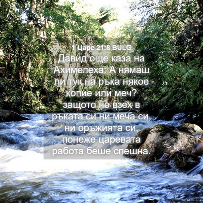 Picture 04 - 1 Царе 21:8 BULG - Давид още каза на - Bible Verse Picture