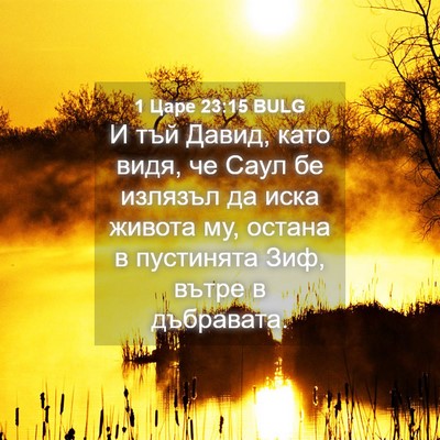 Picture 04 - 1 Царе 23:15 BULG - И тъй Давид, като видя, че - Bible Verse Picture