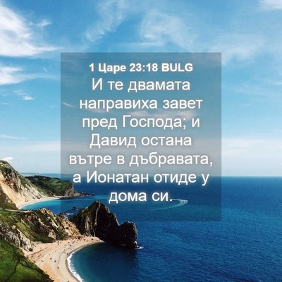 Picture 04 - 1 Царе 23:18 BULG - И те двамата направиха - Bible Verse Picture