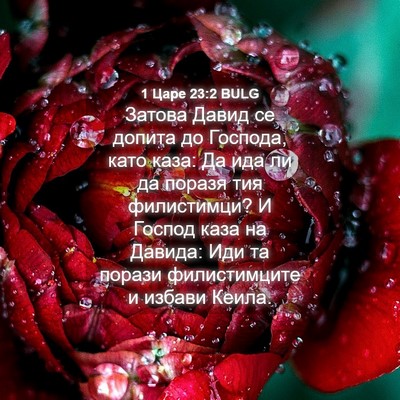 Picture 04 - 1 Царе 23:2 BULG - Затова Давид се допита до - Bible Verse Picture