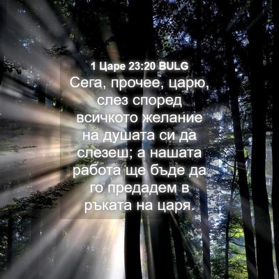 Picture 04 - 1 Царе 23:20 BULG - Сега, прочее, царю, слез - Bible Verse Picture
