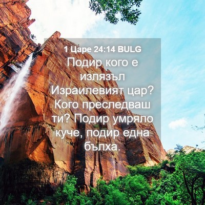 Picture 04 - 1 Царе 24:14 BULG - Подир кого е излязъл - Bible Verse Picture