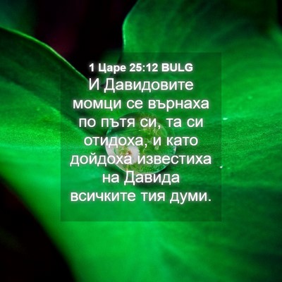 Picture 04 - 1 Царе 25:12 BULG - И Давидовите момци се - Bible Verse Picture