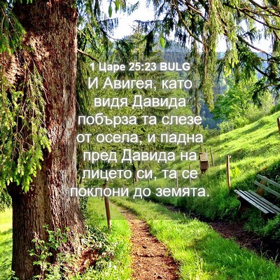 Picture 04 - 1 Царе 25:23 BULG - И Авигея, като видя Давида - Bible Verse Picture
