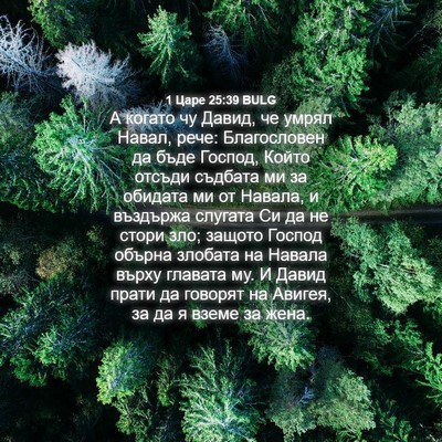 Picture 04 - 1 Царе 25:39 BULG - А когато чу Давид, че умрял - Bible Verse Picture
