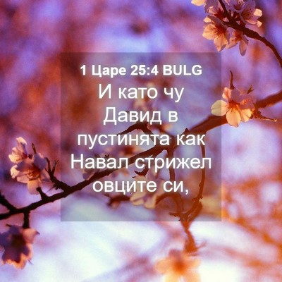 Picture 04 - 1 Царе 25:4 BULG - И като чу Давид в пустинята - Bible Verse Picture