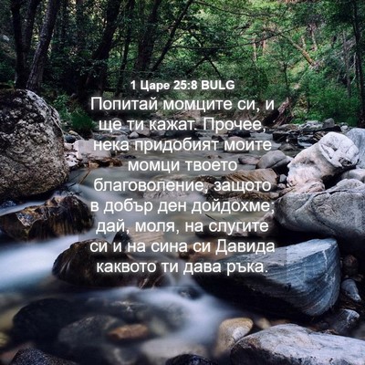Picture 04 - 1 Царе 25:8 BULG - Попитай момците си, и ще ти - Bible Verse Picture