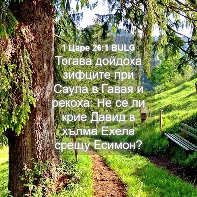 Picture 04 - 1 Царе 26:1 BULG - Тогава дойдоха зифците при - Bible Verse Picture