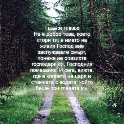 Picture 04 - 1 Царе 26:16 BULG - Не е добро това, което - Bible Verse Picture