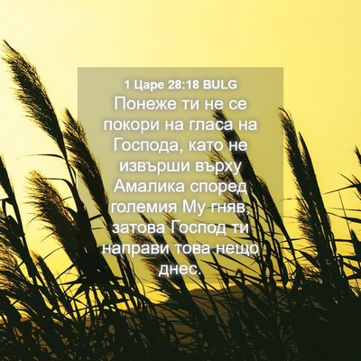 Picture 04 - 1 Царе 28:18 BULG - Понеже ти не се покори на - Bible Verse Picture