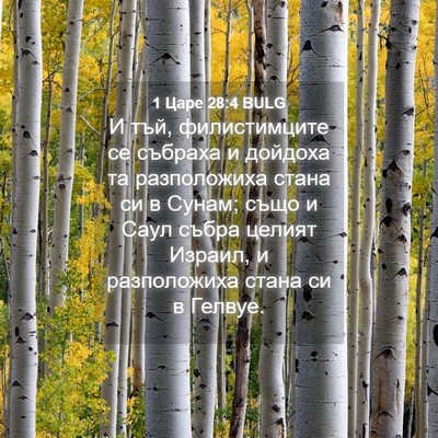 Picture 04 - 1 Царе 28:4 BULG - И тъй, филистимците се - Bible Verse Picture