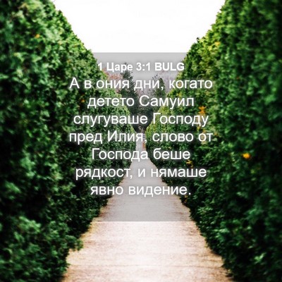 Picture 04 - 1 Царе 3:1 BULG - А в ония дни, когато детето - Bible Verse Picture