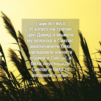 Picture 04 - 1 Царе 30:1 BULG - И когато на третия ден - Bible Verse Picture