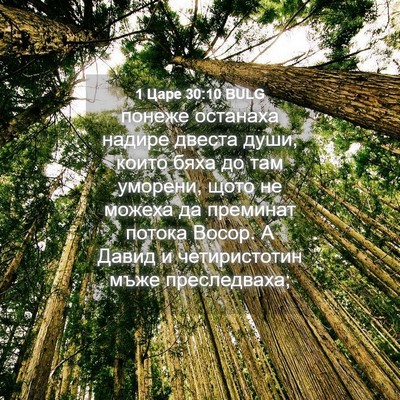 Picture 04 - 1 Царе 30:10 BULG - понеже останаха надире - Bible Verse Picture