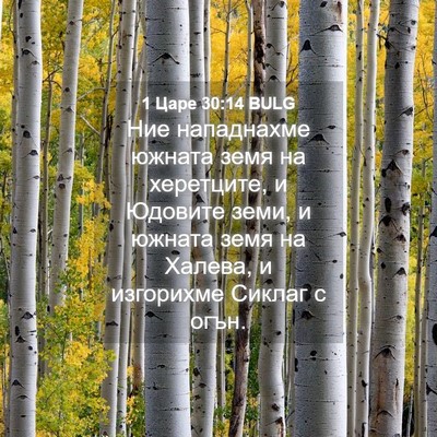 Picture 04 - 1 Царе 30:14 BULG - Ние нападнахме южната земя - Bible Verse Picture