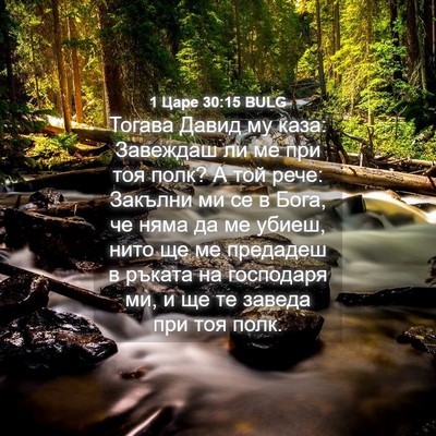 Picture 04 - 1 Царе 30:15 BULG - Тогава Давид му каза: - Bible Verse Picture