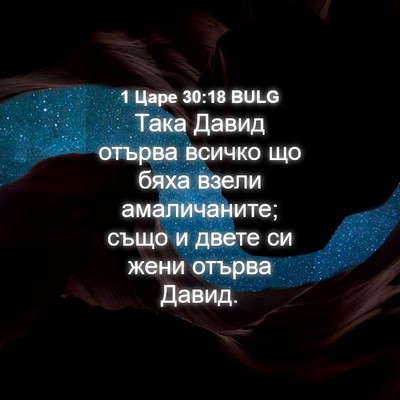 Picture 04 - 1 Царе 30:18 BULG - Така Давид отърва всичко - Bible Verse Picture