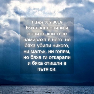 Picture 04 - 1 Царе 30:2 BULG - Бяха запленили и жените, - Bible Verse Picture
