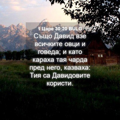 Picture 04 - 1 Царе 30:20 BULG - Също Давид взе всичките - Bible Verse Picture