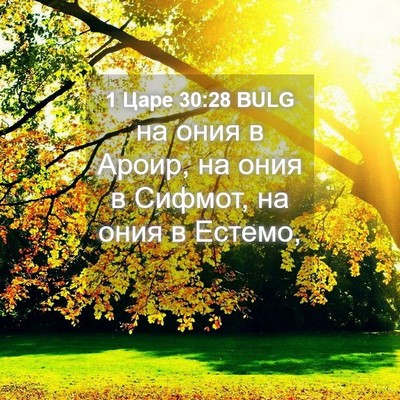 Picture 04 - 1 Царе 30:28 BULG - на ония в Ароир, на ония в - Bible Verse Picture