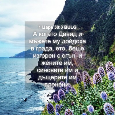 Picture 04 - 1 Царе 30:3 BULG - А когато Давид и мъжете му - Bible Verse Picture