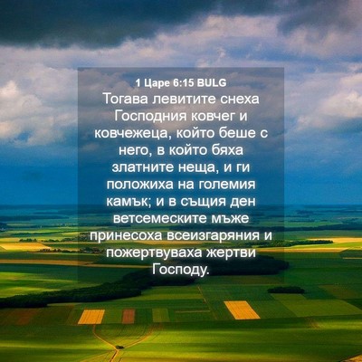 Picture 04 - 1 Царе 6:15 BULG - Тогава левитите снеха - Bible Verse Picture