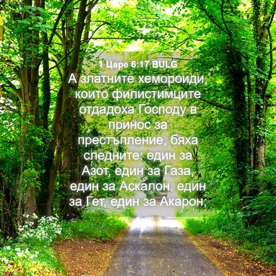 Picture 04 - 1 Царе 6:17 BULG - А златните хемороиди, - Bible Verse Picture