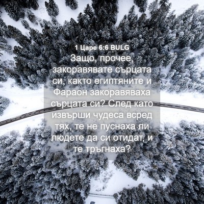 Picture 04 - 1 Царе 6:6 BULG - Защо, прочее, закоравявате - Bible Verse Picture