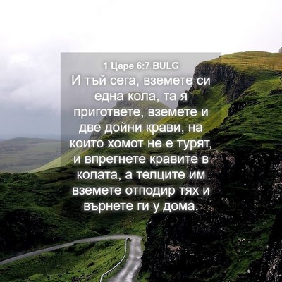 Picture 04 - 1 Царе 6:7 BULG - И тъй сега, вземете си една - Bible Verse Picture